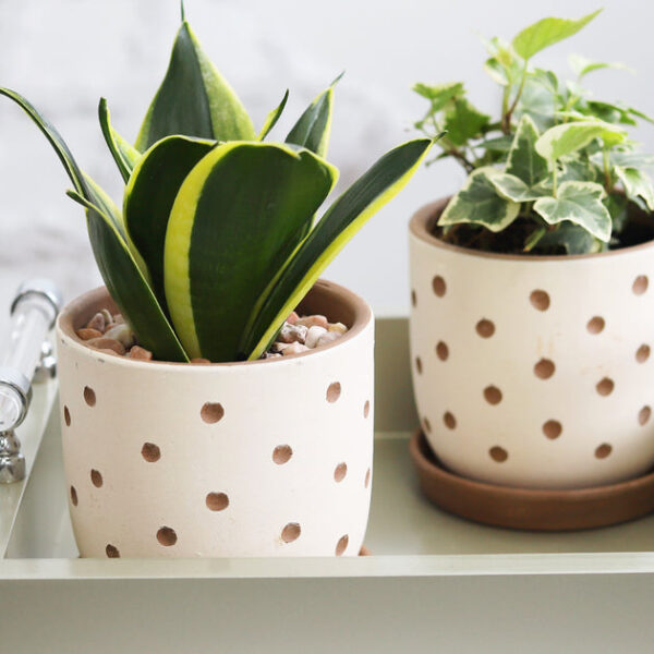 Clay White Polka Dot Pattern Pot - Image 4
