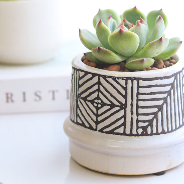 Tribal Pot - Image 3