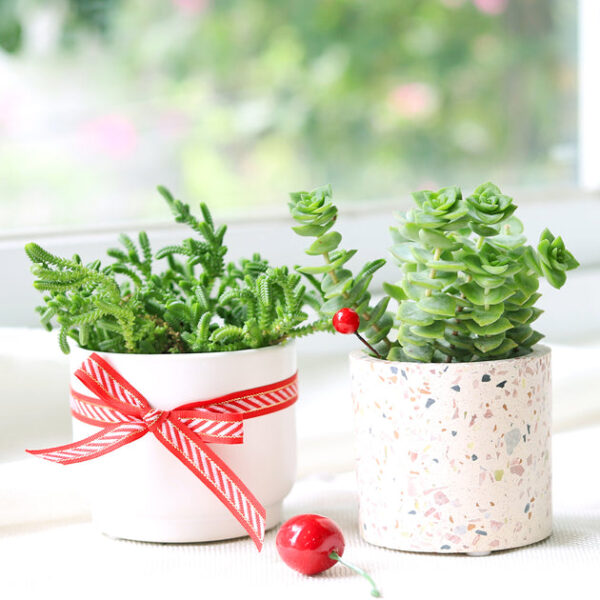 Terrazzo Pot - Image 2
