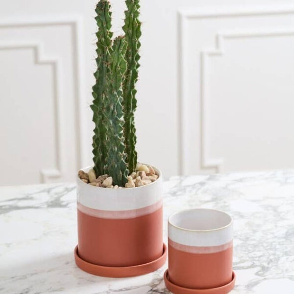 Dawn Pot - Image 4