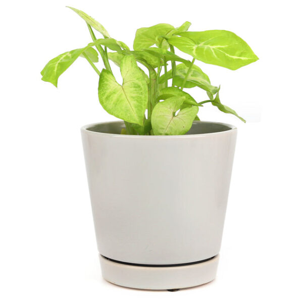 6 inch Gray Minimalist Pot with Saucer - Image 6
