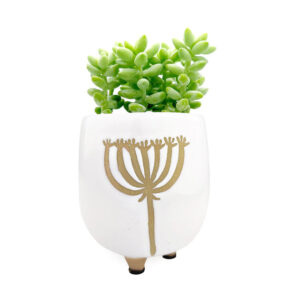 Dandelion Pot