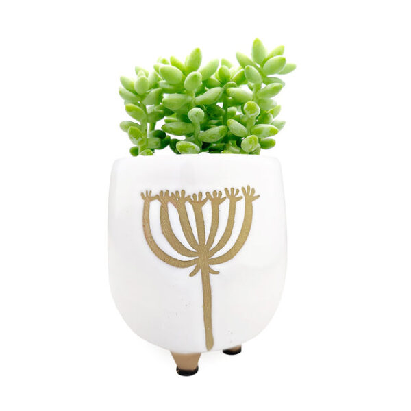 Dandelion Pot