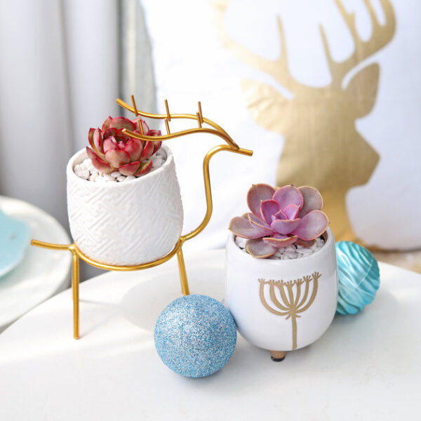 Dandelion Pot - Image 2