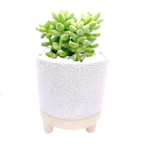 4 inch Footed Pot - Image 2