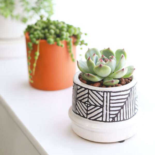 Tribal Pot - Image 9