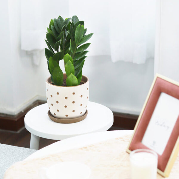 Clay White Polka Dot Pattern Pot - Image 7