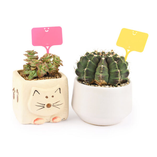 10 Smiley Face Plant Labels - Image 2