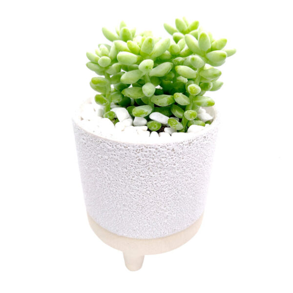 4 inch Footed Pot - Image 5