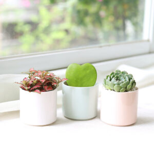 3 Pack Modern Cylinder Pots