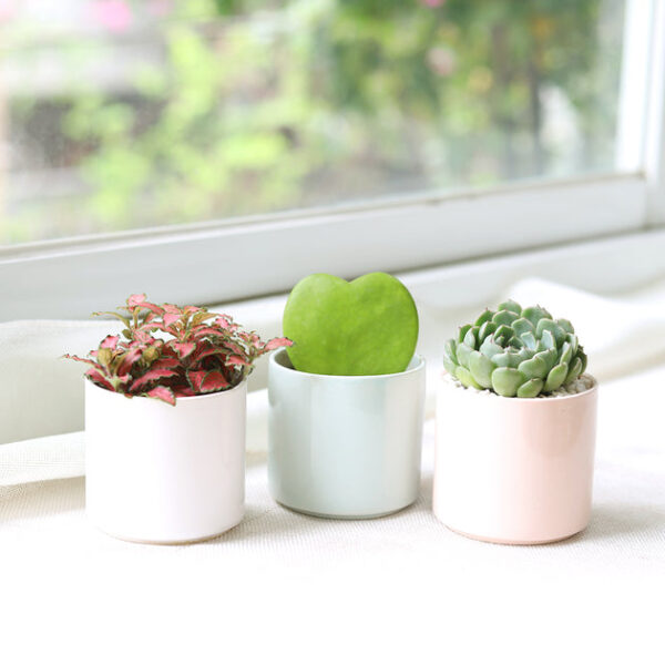 3 Pack Modern Cylinder Pots