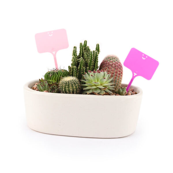 10 Smiley Face Plant Labels - Image 3