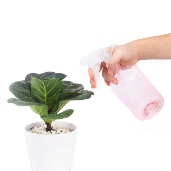Pink Plant Spray Bottle - Image 3