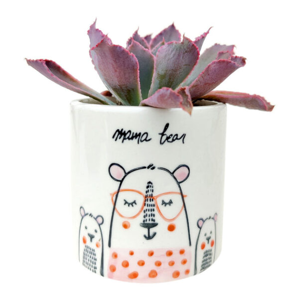 Mama Bear Pot - Image 2