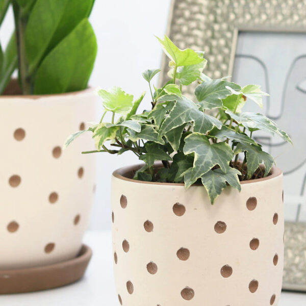Clay White Polka Dot Pattern Pot - Image 6