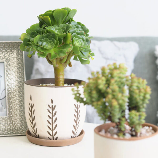Clay White Vertical Leaf Pattern Pot - Image 5