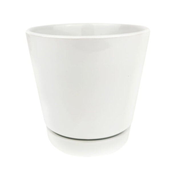 6 inch White Minimalist Pot with Saucer - Image 7