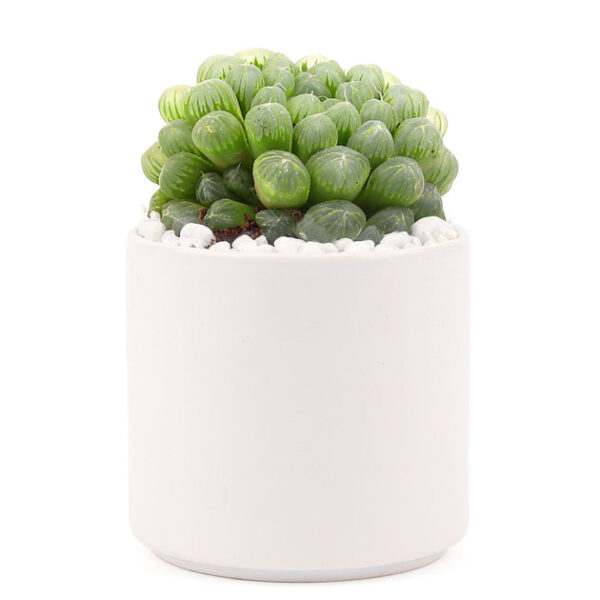 White Modern Cylinder Pot - Image 3