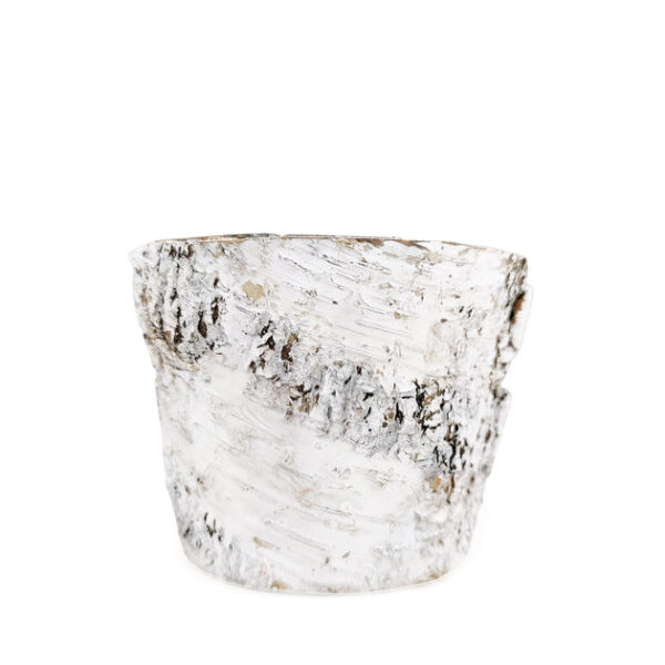Birch Pot Large Size - Image 6
