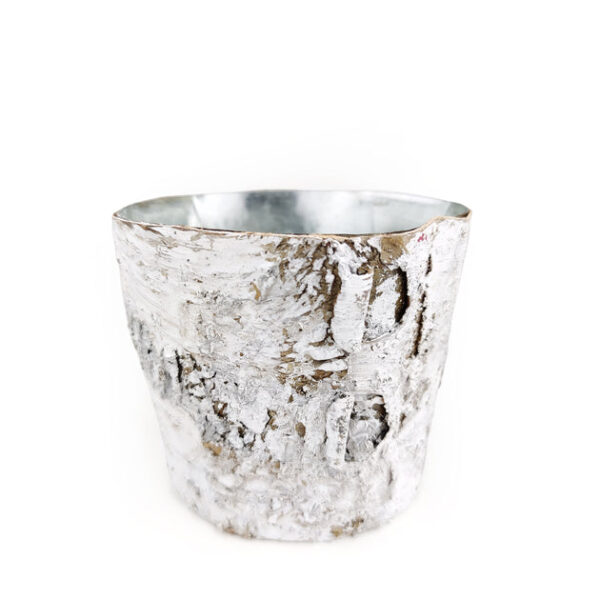 Birch Pot Large Size - Image 7