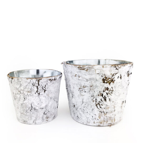 Birch Pot Small Size - Image 7