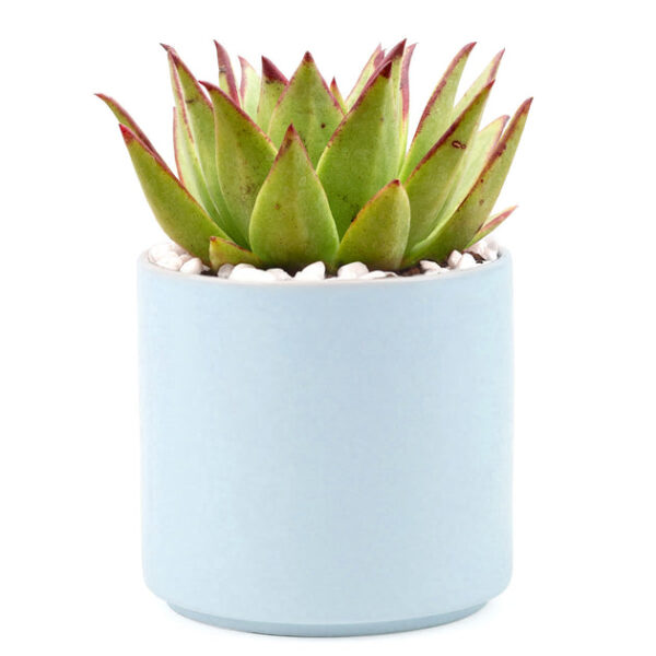 Blue Modern Cylinder Pot - Image 3