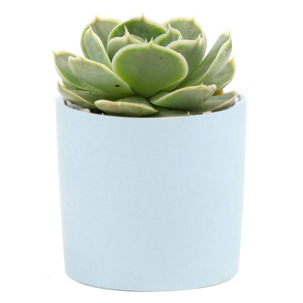 Blue Modern Cylinder Pot - Image 9