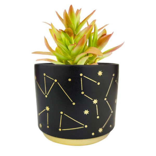 Celestial Pot - Image 4