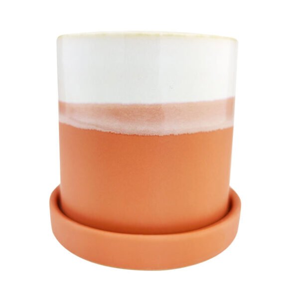 Dawn Pot - Image 2