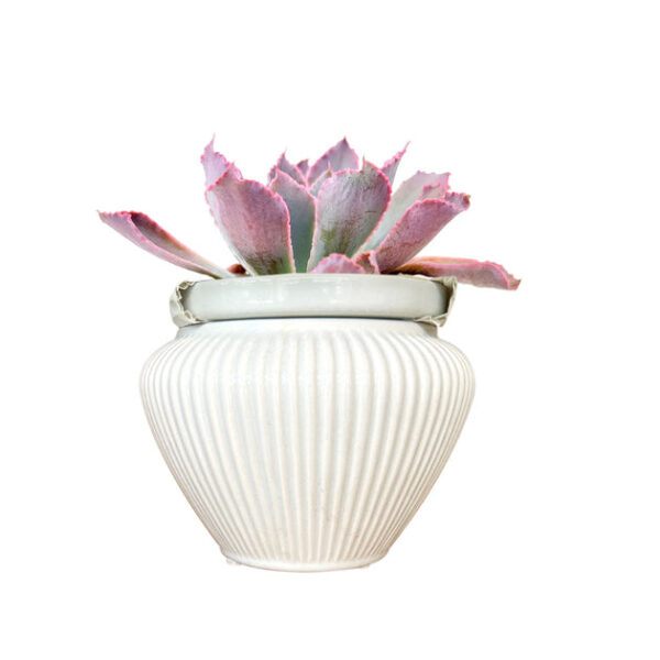 6 inch Self-watering Geometric Striped Ceramic Pot - Image 2