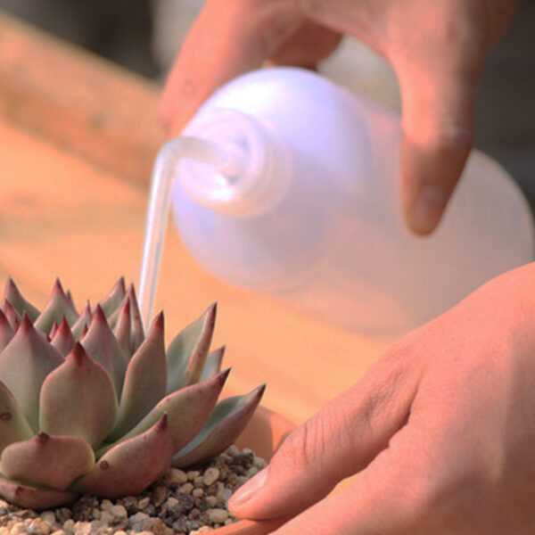 Watering Bottle 500ML - Image 7