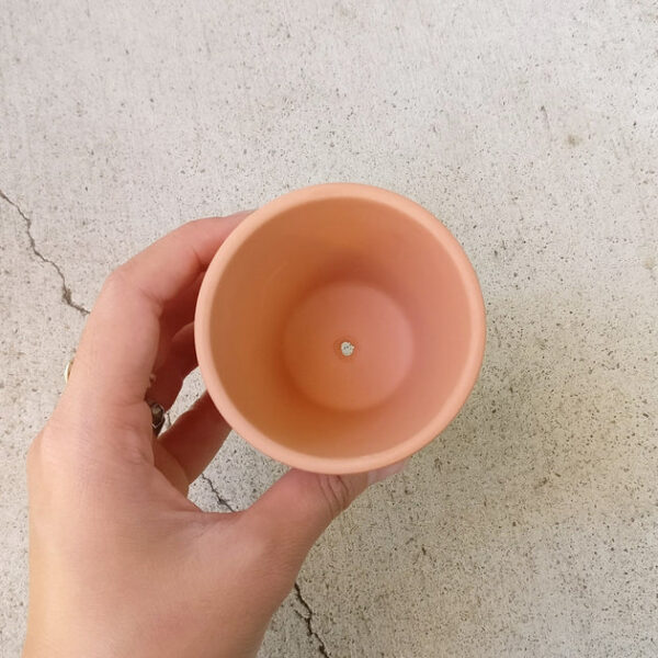 2.5'' Terracotta Pot - Image 5