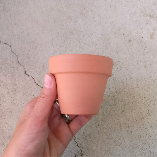 2.5'' Terracotta Pot - Image 4