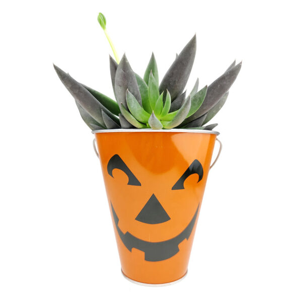 Jack-O'-Lantern Galvanized Pails - Image 2