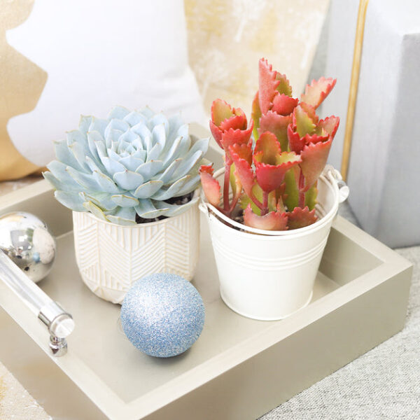 Whitcomb White Ceramic Pot - Image 3