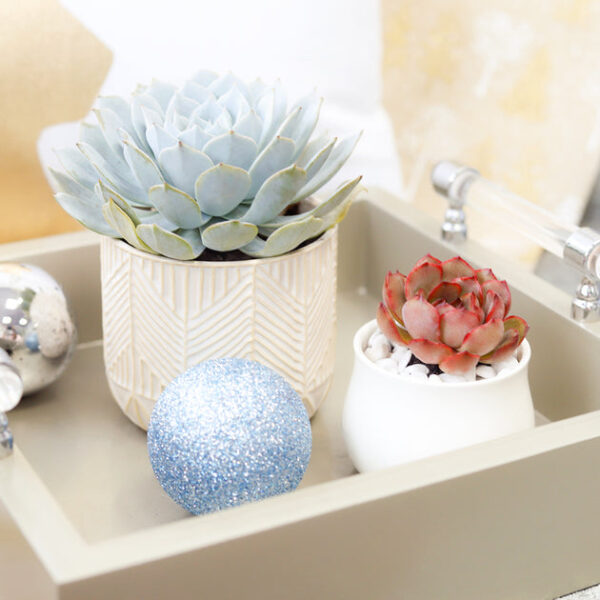 Whitcomb White Ceramic Pot - Image 2