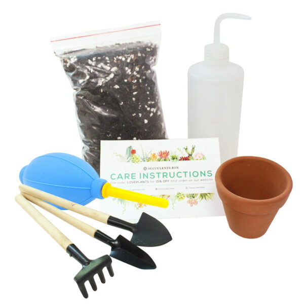Beginner Kit (tools only) - Image 3