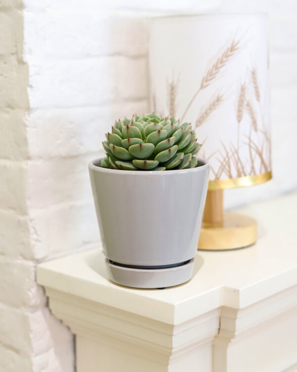 Pack of 3 Gray Minimalist Ceramic Pots - Image 3