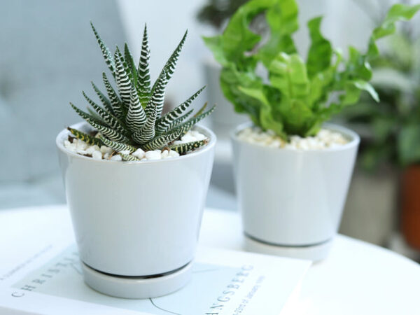 Pack of 3 Gray Minimalist Ceramic Pots - Image 9