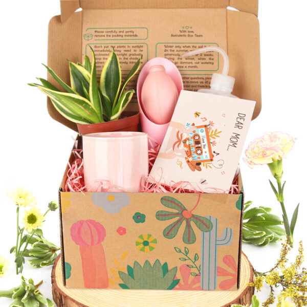 Houseplant Beginner Kit Gift Box - Image 7