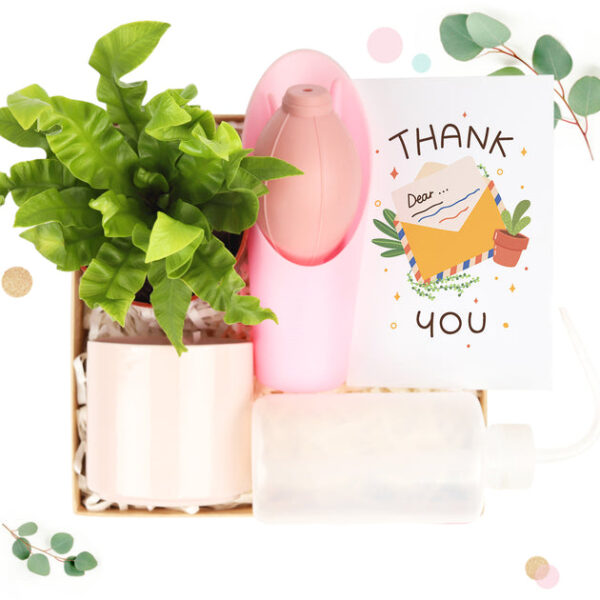 Houseplant Beginner Kit Gift Box - Image 9