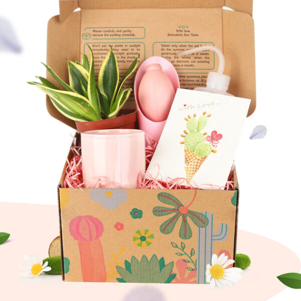Houseplant Beginner Kit Gift Box - Image 2