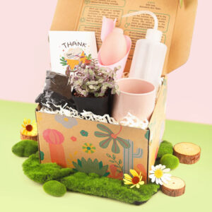 Houseplant Beginner Kit Gift Box