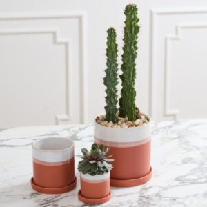Dawn Pot