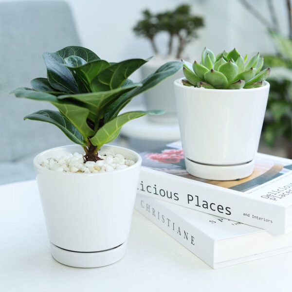 4 inch White Minimalist Pot with Saucer - Image 8