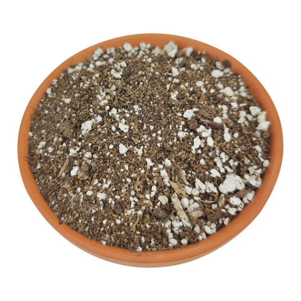 Succulent Potting Soil - Image 2
