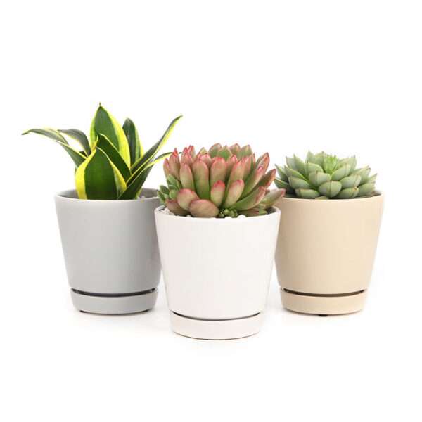 Pack of 3 Minimalist Ceramic Pots (White, Gray and Oatmeal) - Image 2