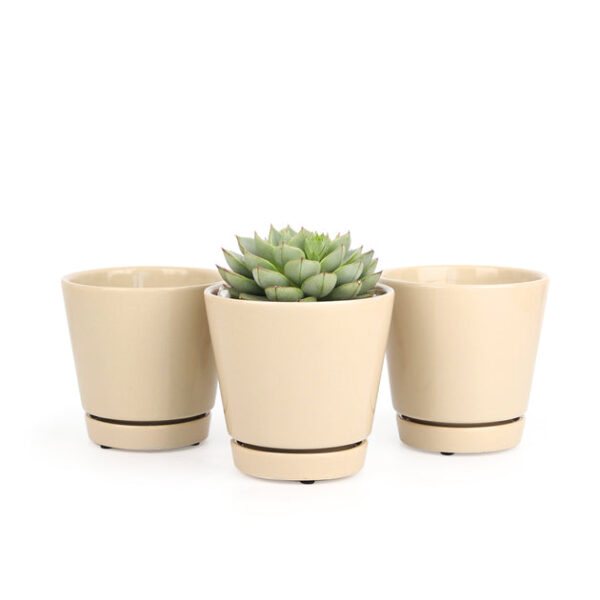 Pack of 3 Oatmeal Minimalist Ceramic Pots - Image 2