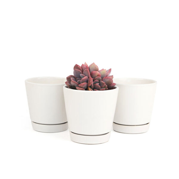 Pack of 3 White Minimalist Ceramic Pots - Image 2