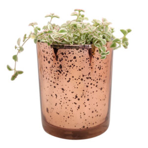 Pink Sparkly Pot